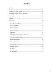 Išorinio poveikio veiksniai, jų analizė bei įtaka organizacijos veiklai 3 puslapis