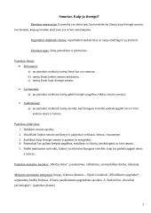 Išplėstinis pilietinės visuomenės pagrindų pamokos planas: "Smurtas. Kaip jo išvengti?" 2 puslapis