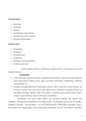 Išplėstinis pilietinės visuomenės pagrindų pamokos planas: "Smurtas. Kaip jo išvengti?" 5 puslapis