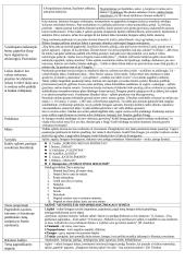 J. Biliūnas - Vagis 2 puslapis