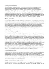 Justino Marcinkevičiaus drama „Mažvydas“  2 puslapis