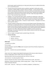 Justino Marcinkevičiaus drama „Mažvydas“  4 puslapis