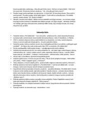 Katastrofizmas: Mačernis, Krivickas, Nėris 2 puslapis