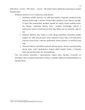 Japonijos ekonominė rinkos analizė 12 puslapis