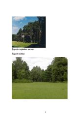 Joniškio rajonas ekologiniu ir rekreaciniu aspektu 8 puslapis