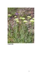 Joniškio rajonas ekologiniu ir rekreaciniu aspektu 9 puslapis