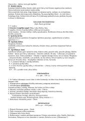 Literatūrinės srovės 2 puslapis