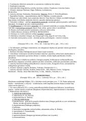 Literatūrinės srovės 4 puslapis