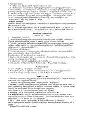 Literatūrinės srovės 6 puslapis