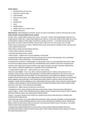 Mitai ir biblija 3 puslapis