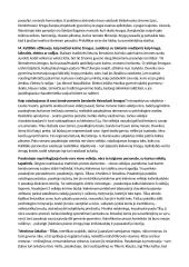 Mariaus Katiliškio "Miškais ateina ruduo" nagrinėjimas 2 puslapis