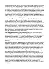 Mariaus Katiliškio "Miškais ateina ruduo" nagrinėjimas 3 puslapis