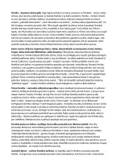 Mariaus Katiliškio "Miškais ateina ruduo" nagrinėjimas 4 puslapis