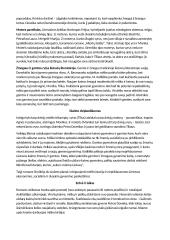 Mariaus Katiliškio "Miškais ateina ruduo" nagrinėjimas 6 puslapis