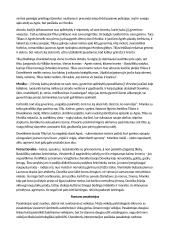 Mariaus Katiliškio "Miškais ateina ruduo" nagrinėjimas 8 puslapis