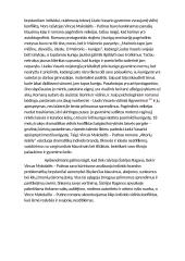 Bręstančios asmenybės iššūkiai literatūroje 2 puslapis