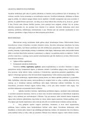 Kaip pritaikyti socialinio darbo teorijas praktikoje? 2 puslapis