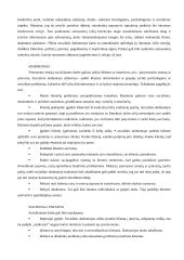 Kaip pritaikyti socialinio darbo teorijas praktikoje? 4 puslapis