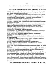 Kalba ir mes 13 puslapis