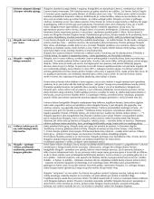 Skirgaila. Teiginiai ir jų argumentavimas 2 puslapis