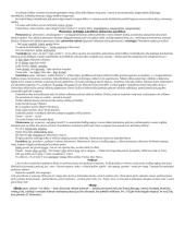 Stilistikos teorinė medžiaga 6 puslapis