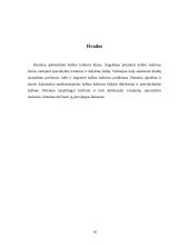 Kalbos kultūros informacija 10 puslapis