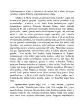 Žydų tema lietuvių literatūroje I. Mero romane „Lygiosios trunka akimirką“ 3 puslapis
