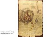 Renesansas - ﻿Europos laikotarpis nuo XV iki XVI amžiaus 13 puslapis