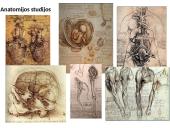 Renesansas - ﻿Europos laikotarpis nuo XV iki XVI amžiaus 14 puslapis