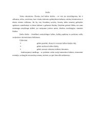 Kalbos kultūros klaidos interneto svetainėse 2 puslapis