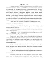 Kalbos kultūros klaidos interneto svetainėse 12 puslapis