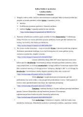 Kalbos kultūros klaidos interneto svetainėse 3 puslapis