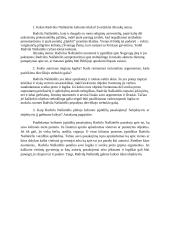 Mikalojaus Kristupo Radvilos Našlaitėlio „Kelionė į Jeruzalę“