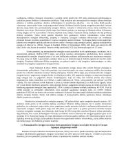 Atsinaujinančios energijos gamybos Lietuvoje vertinimas 3 puslapis