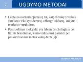 Ikimokyklinis ugdymas Norvegijoje  13 puslapis