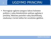 Ikimokyklinis ugdymas Norvegijoje  9 puslapis
