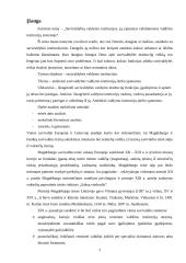 Savivaldos institucijos 2 puslapis