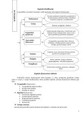 Kapitalas bei rizika 3 puslapis