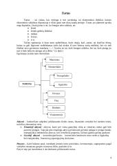 Kapitalas bei rizika 4 puslapis