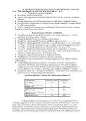 Kapitalas - rizika 2 puslapis