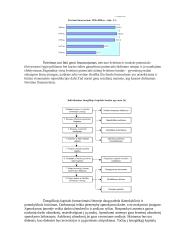 Kapitalas - rizika 4 puslapis