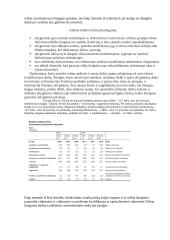 Kapitalas - rizika 5 puslapis