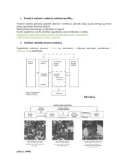 Psichologijos įvado seminarai 10 puslapis