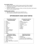 Kapitalas. Turtas. Rizika 2 puslapis