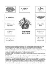 Kapitalas. Turtas. Rizika 3 puslapis