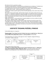 Kapitalas. Turtas. Rizika 4 puslapis