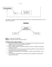 Kapitalas. Turtas. Rizika 5 puslapis