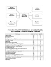 Kapitalas. Turtas. Rizika 6 puslapis