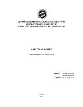 Kapitalas. Turtas. Rizika 8 puslapis