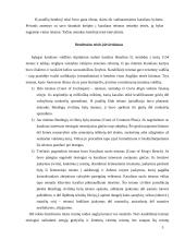 Karališkųjų teisėjų vaidmuo kuriant Anglijos "bendrąją teisę" 3 puslapis